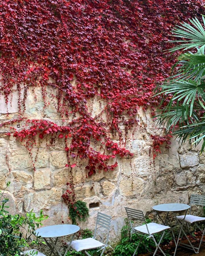 B&B La Maison Galiene Bordeaux Exteriör bild